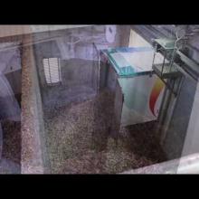 Vignette - Livraison de plaquettes forestières en chaufferie biomasse