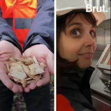 Vignette - Le bois-énergie